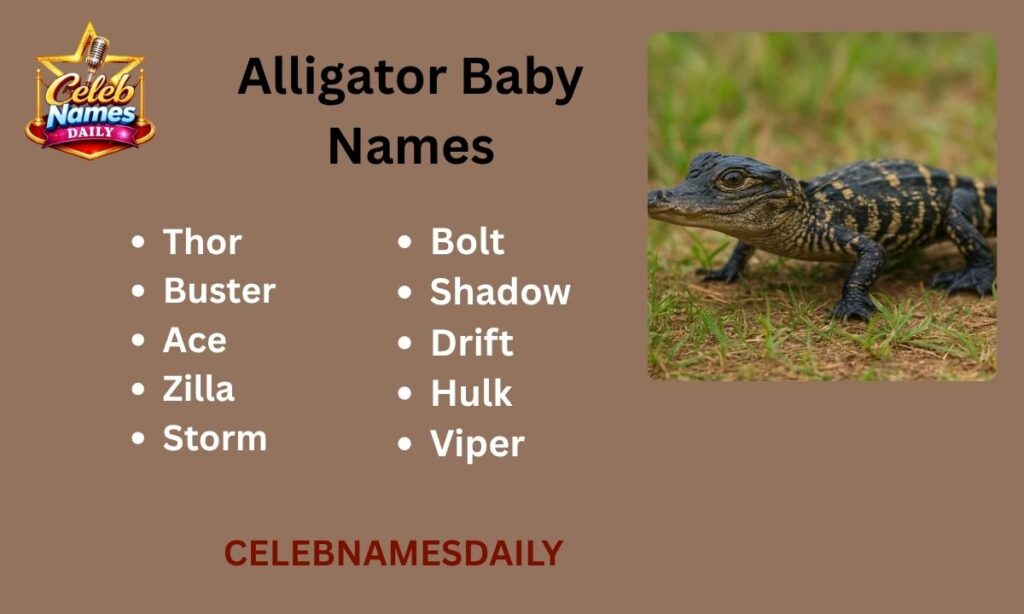 Alligator Baby Names