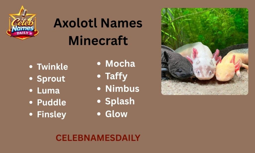 Axolotl Names Minecraft