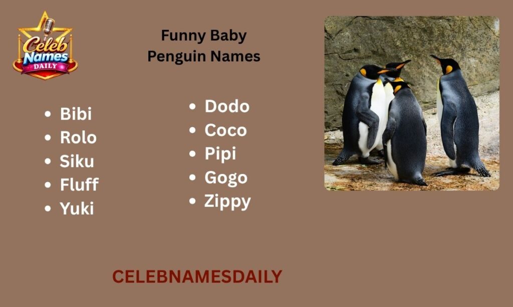 Funny Baby Penguin Names