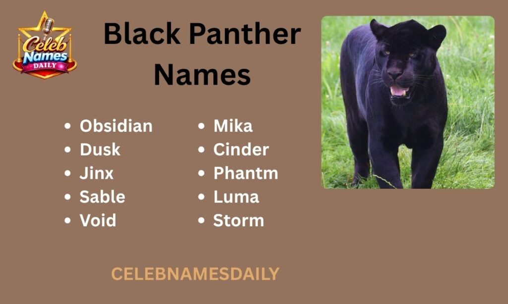 Black Panther Names