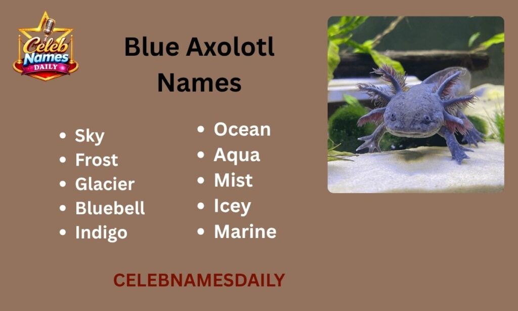Blue Axolotl Names