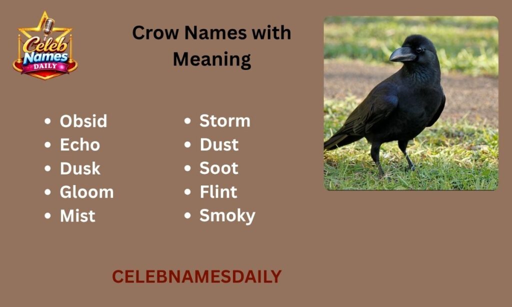 Crow Names with Meaning