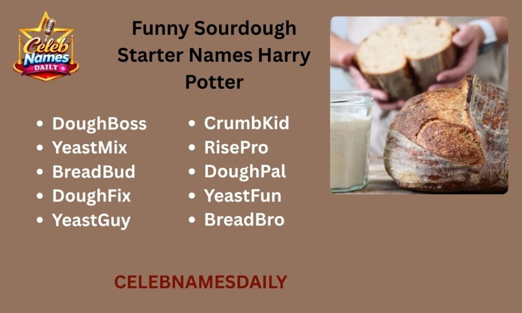Funny Sourdough Starter Names Harry Potter