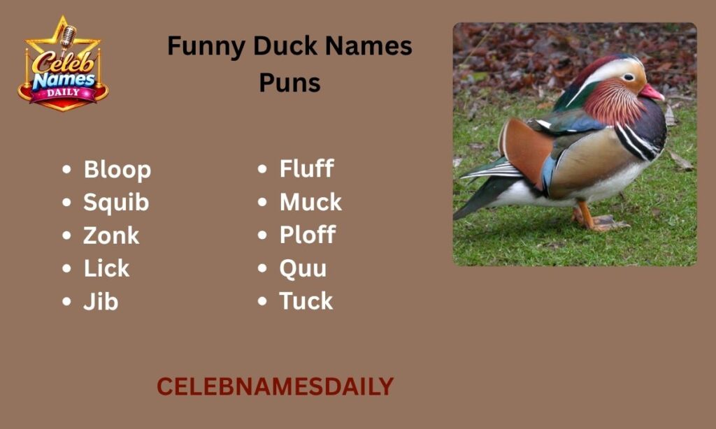 Funny Duck Names Puns