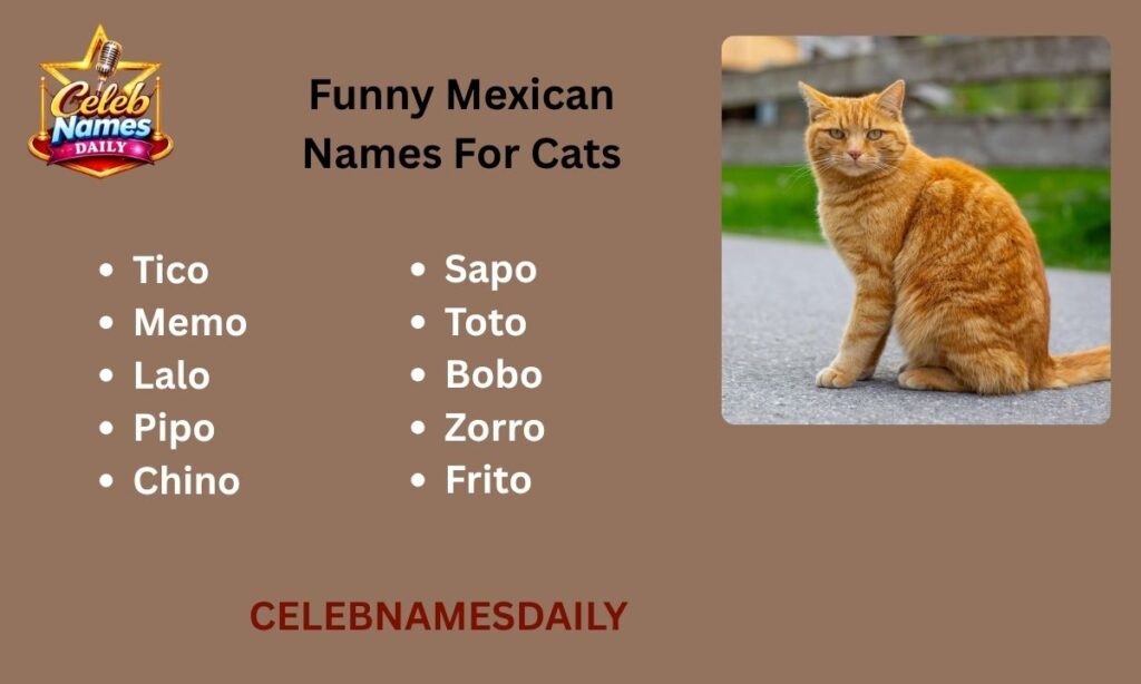 Funny Mexican Names For Cats