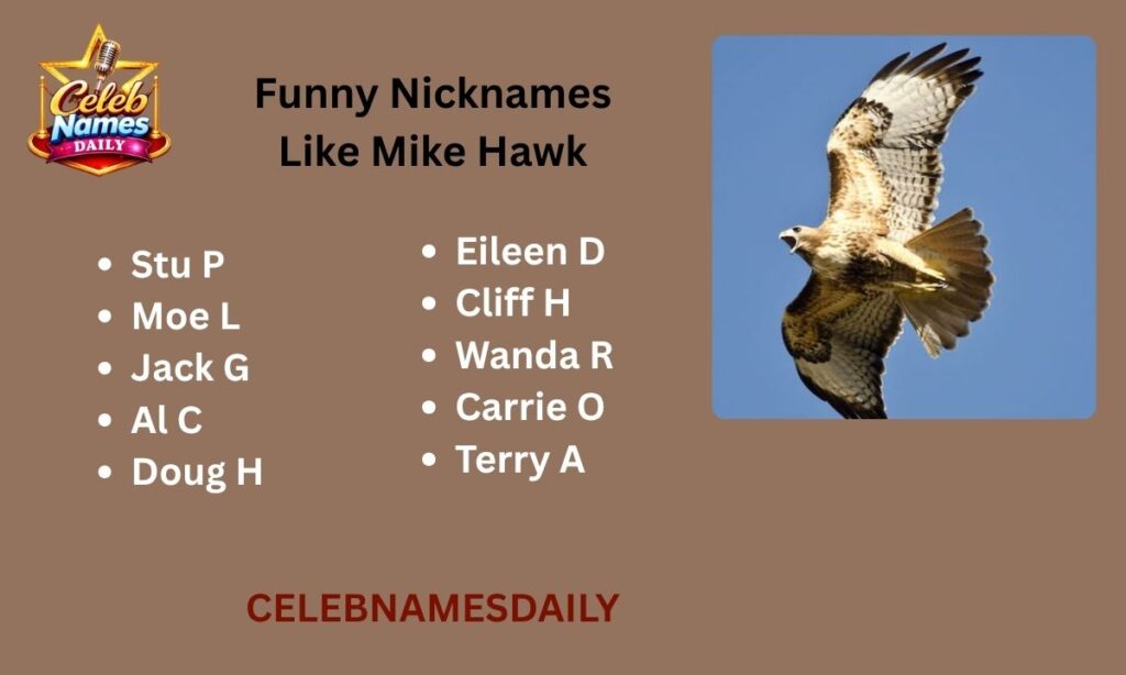 Funny Nicknames Like Mike Hawk