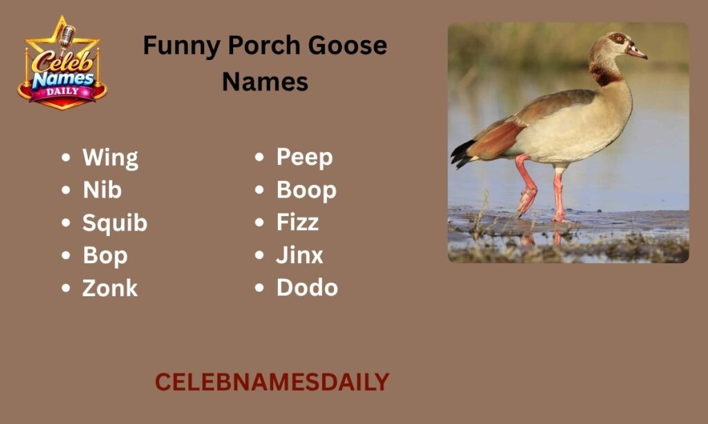Funny Porch Goose Names
