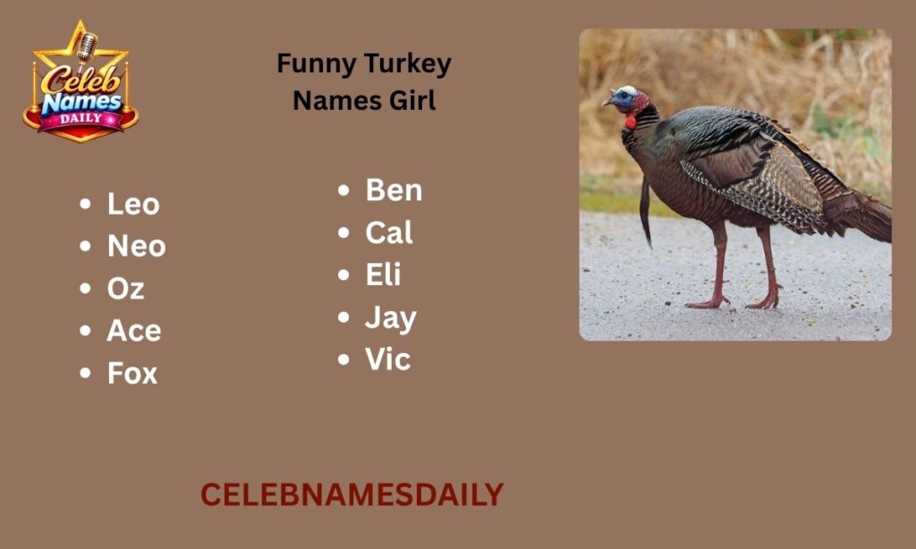 Funny Turkey Names Girl