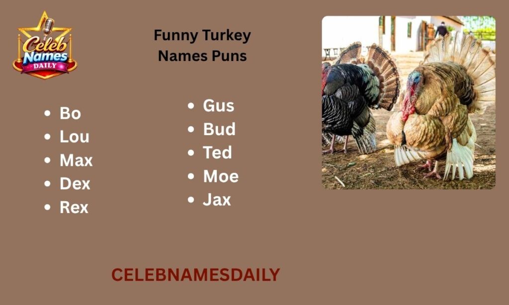 Funny Turkey Names Puns