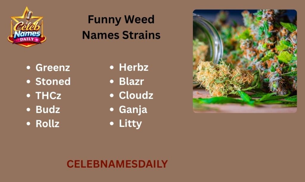 Funny Weed Names Strains