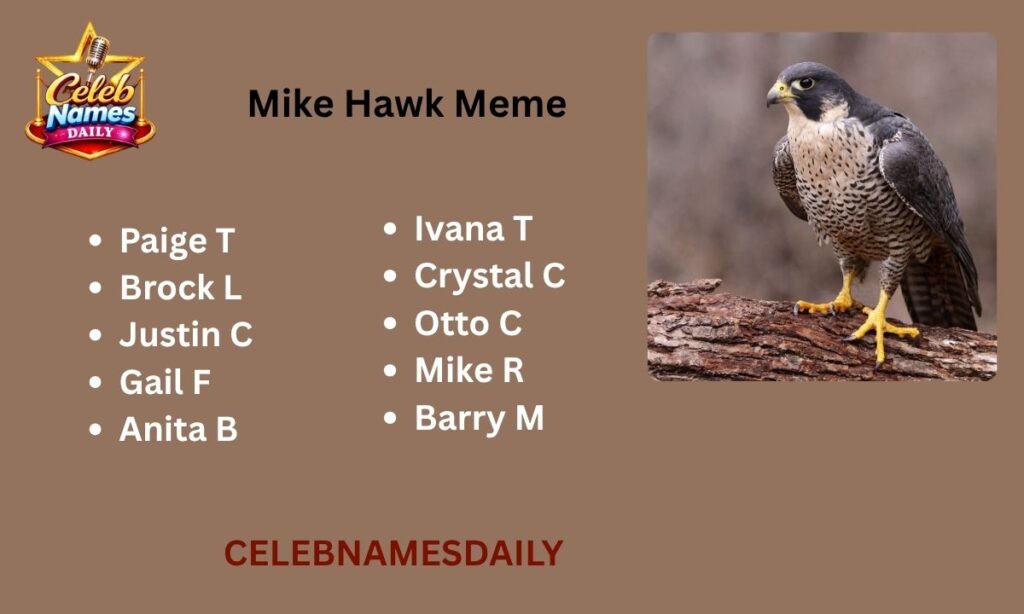 Mike Hawk Meme