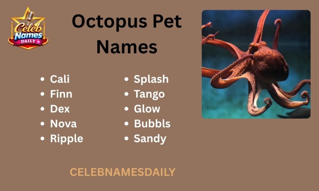 Octopus Pet Names