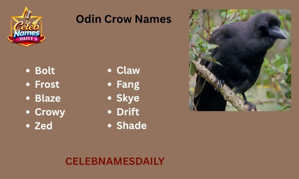 Odin Crow Names