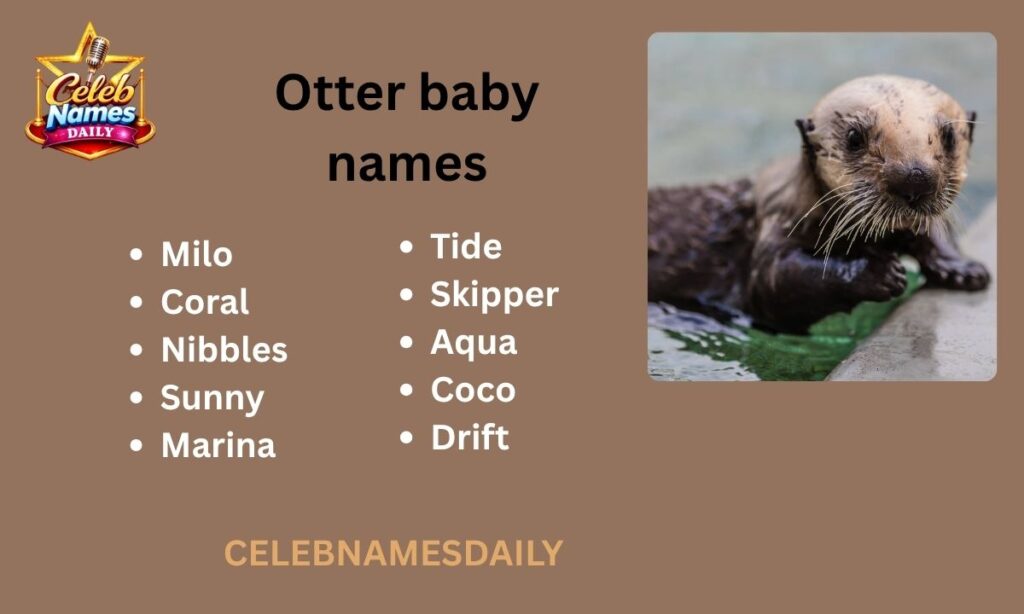 Otter baby names