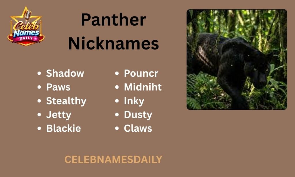 Panther Nicknames