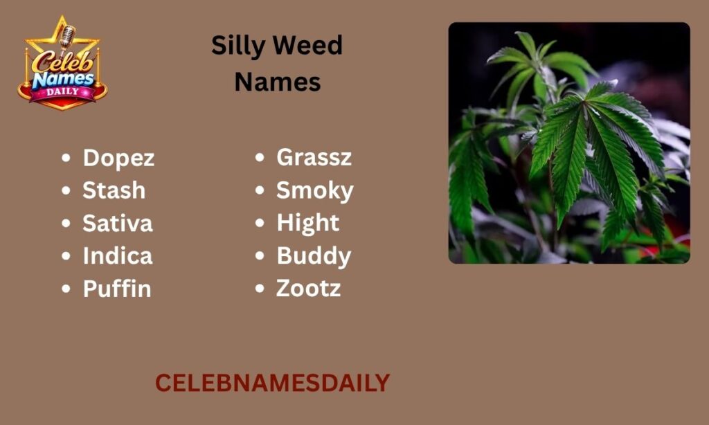 Silly Weed Names