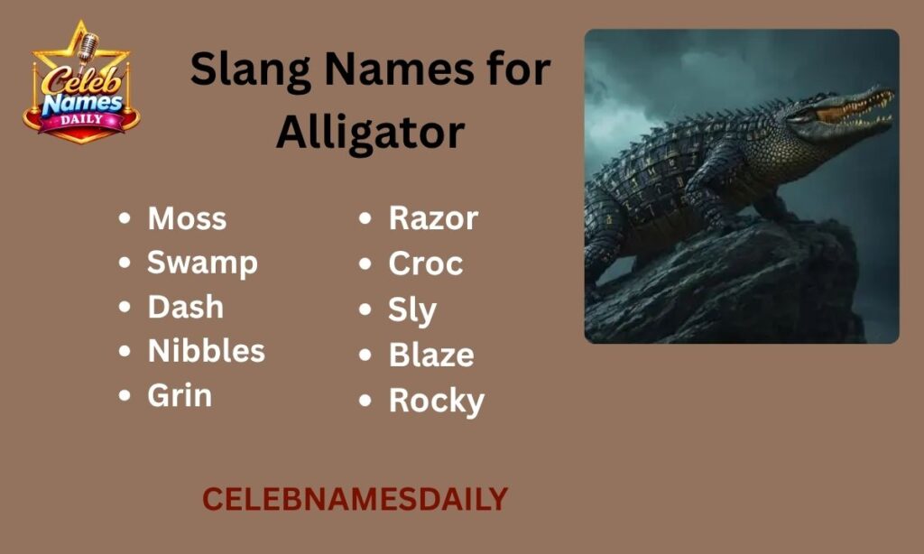 Slang Names for Alligator