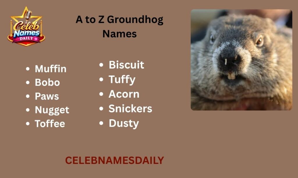A to Z Groundhog Names