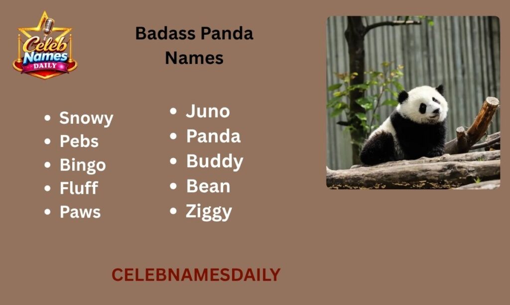 Badass Panda Names