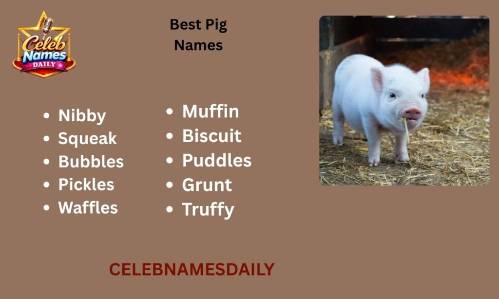 Best Pig Names