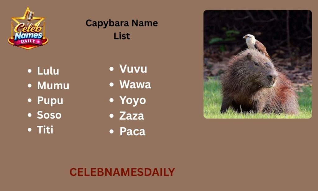 Capybara Name List