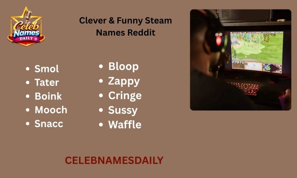 Clever & Funny Steam Names Reddit