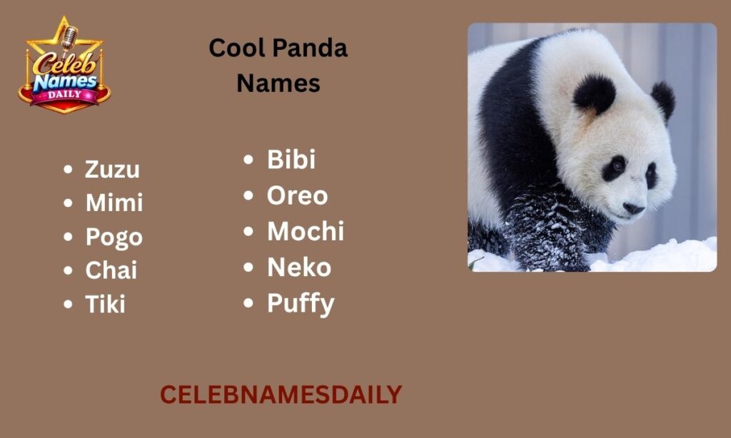 Cool Panda Names