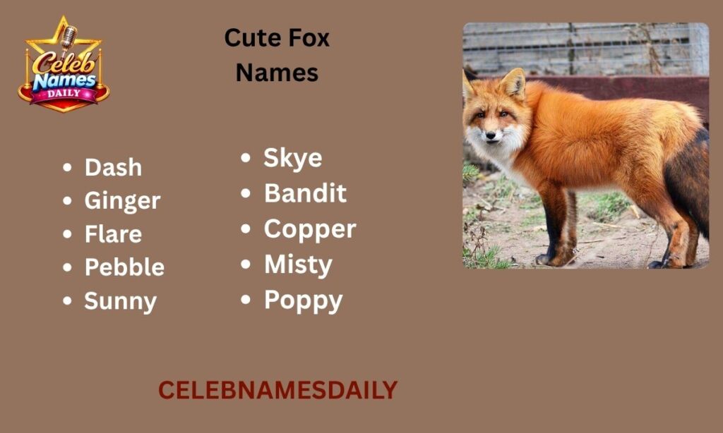 Cute Fox Names