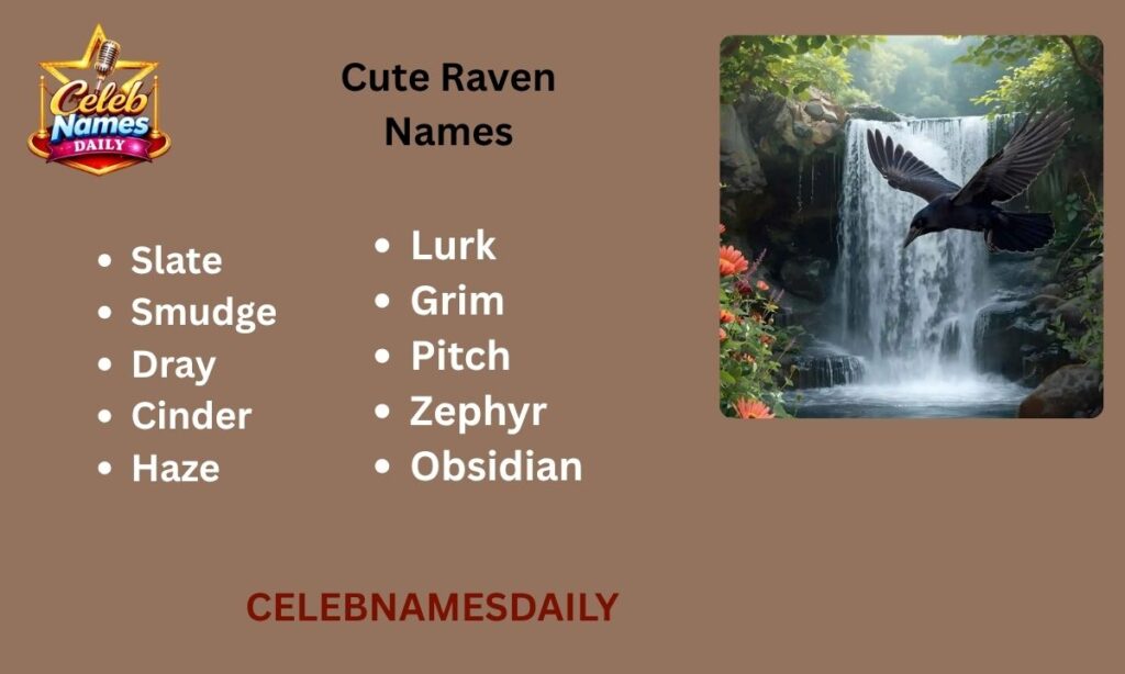 Cute Raven Names