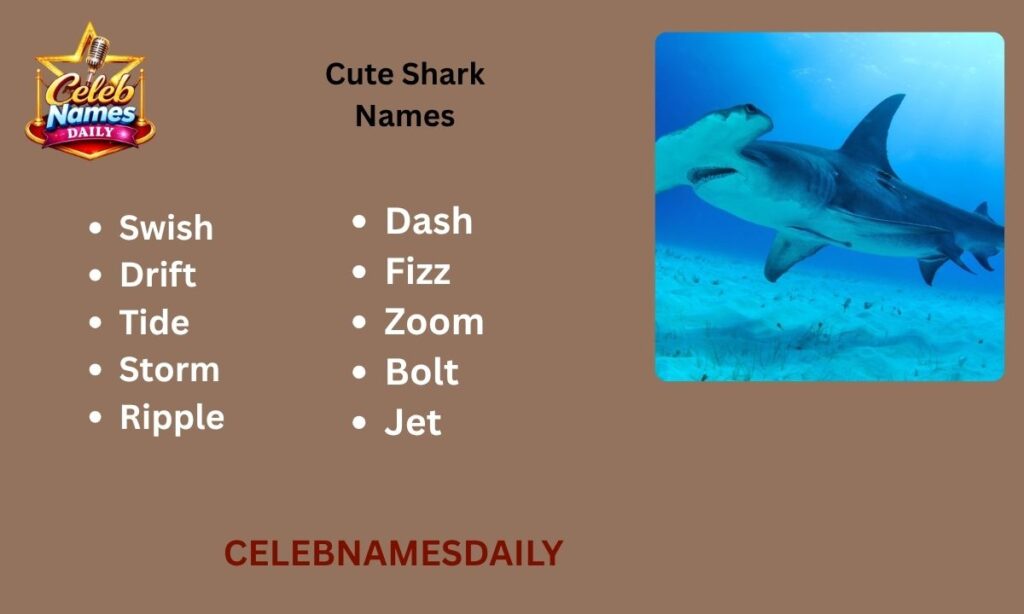 Cute Shark Names