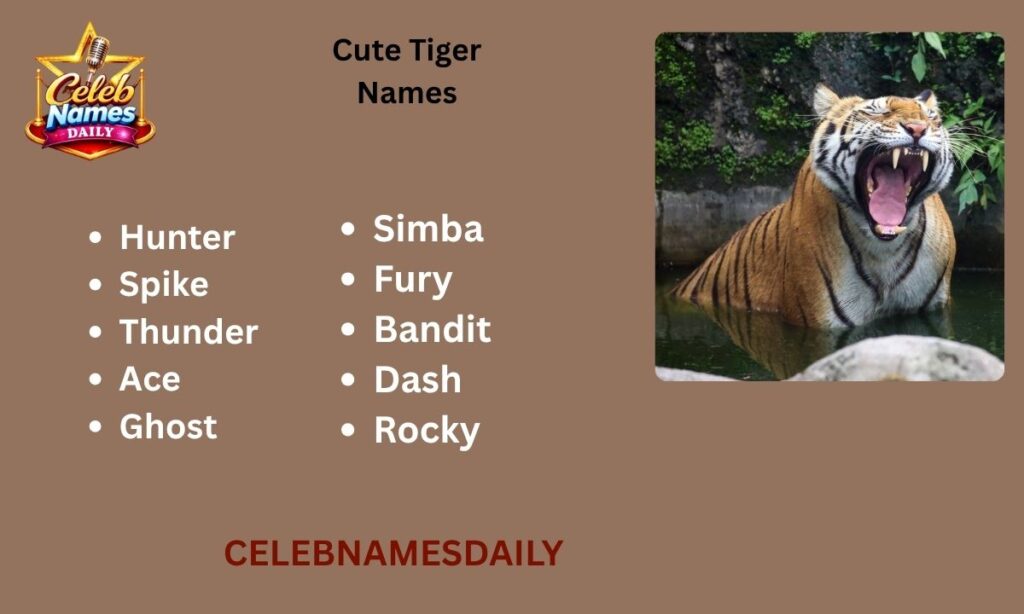 Cute Tiger Names