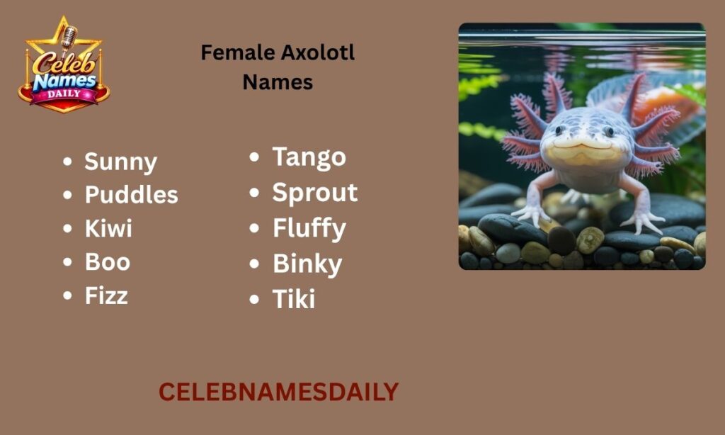 Female Axolotl Names