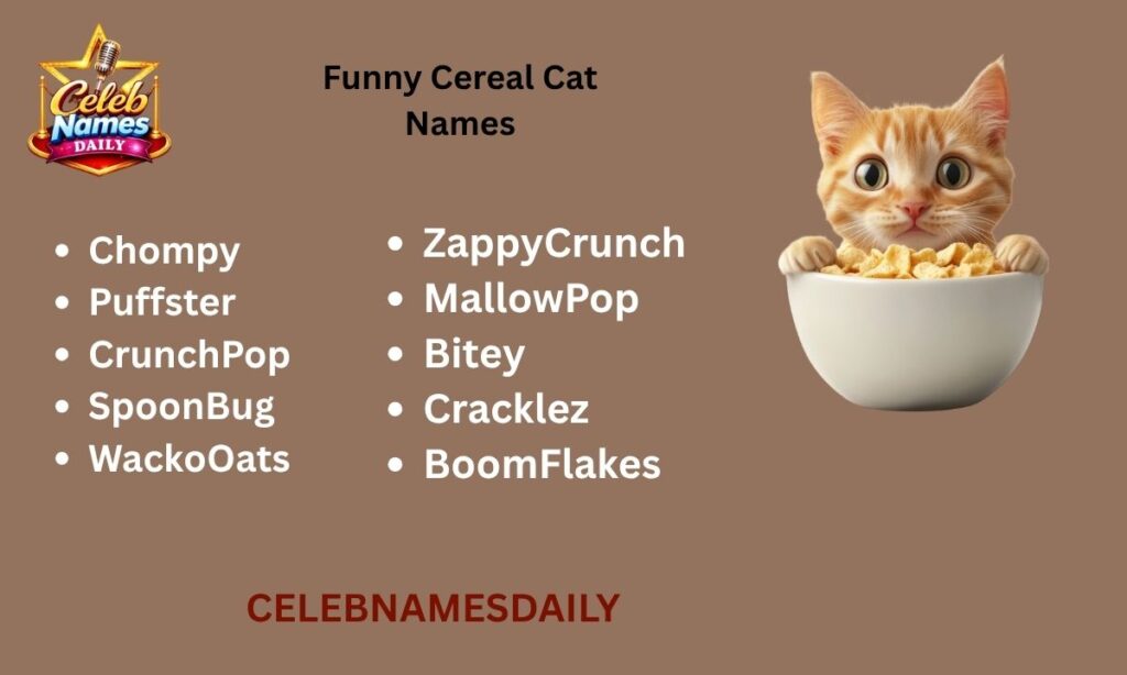Funny Cereal Cat Names
