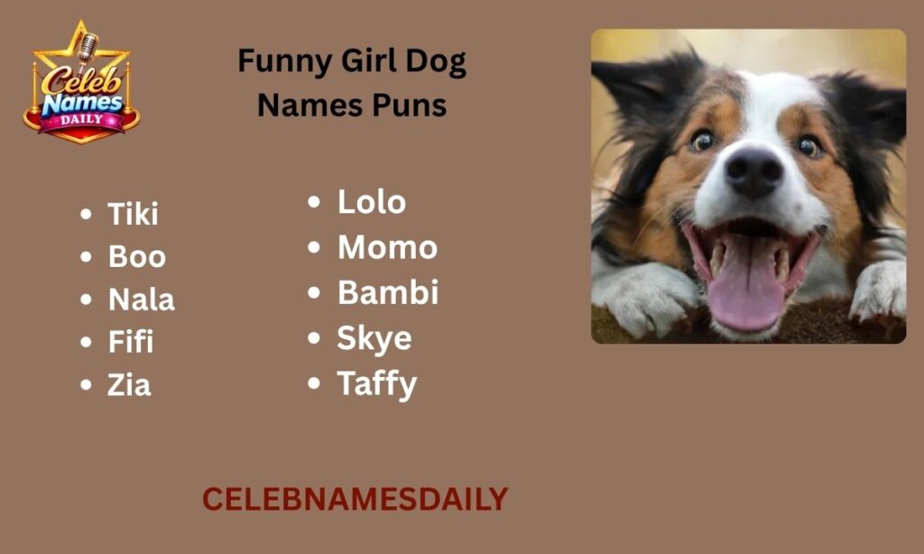 Funny Girl Dog Names Puns