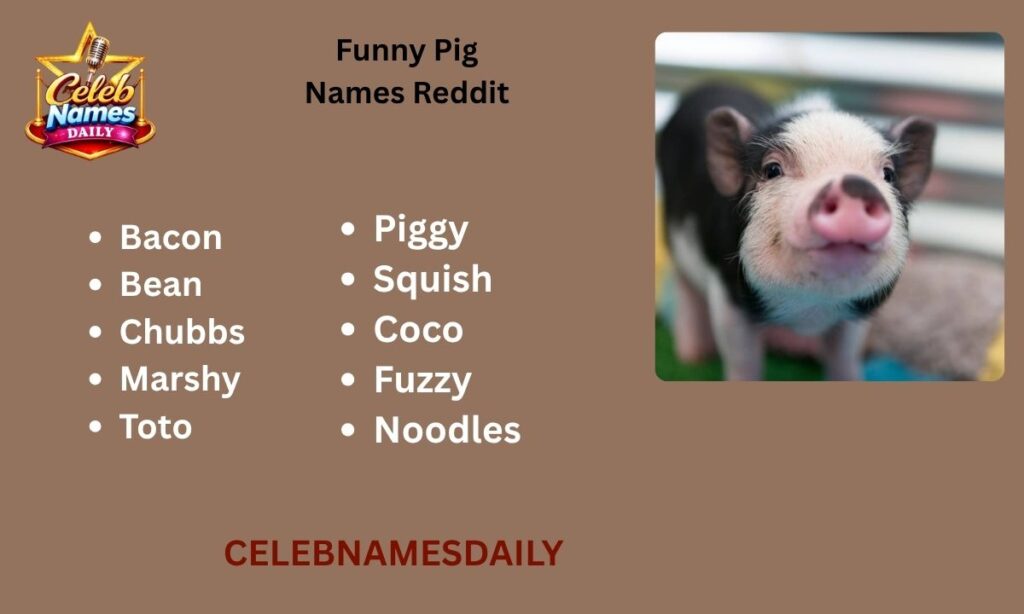 Funny Pig Names Reddit