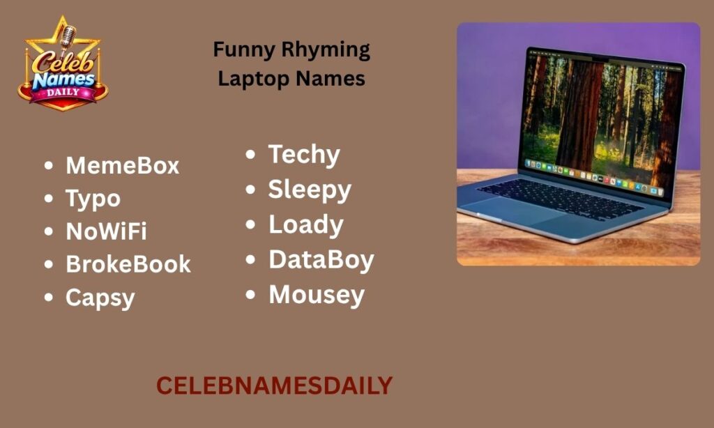 Funny Rhyming Laptop Names