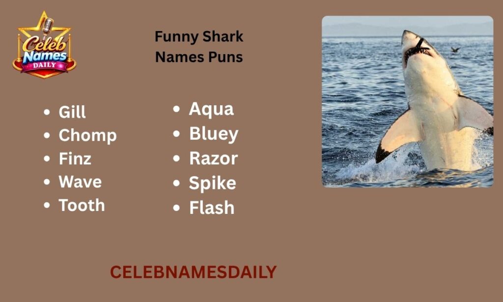 Funny Shark Names Puns
