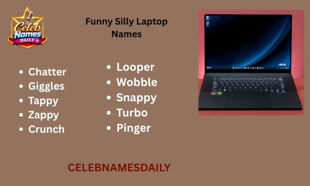 Funny Silly Laptop Names
