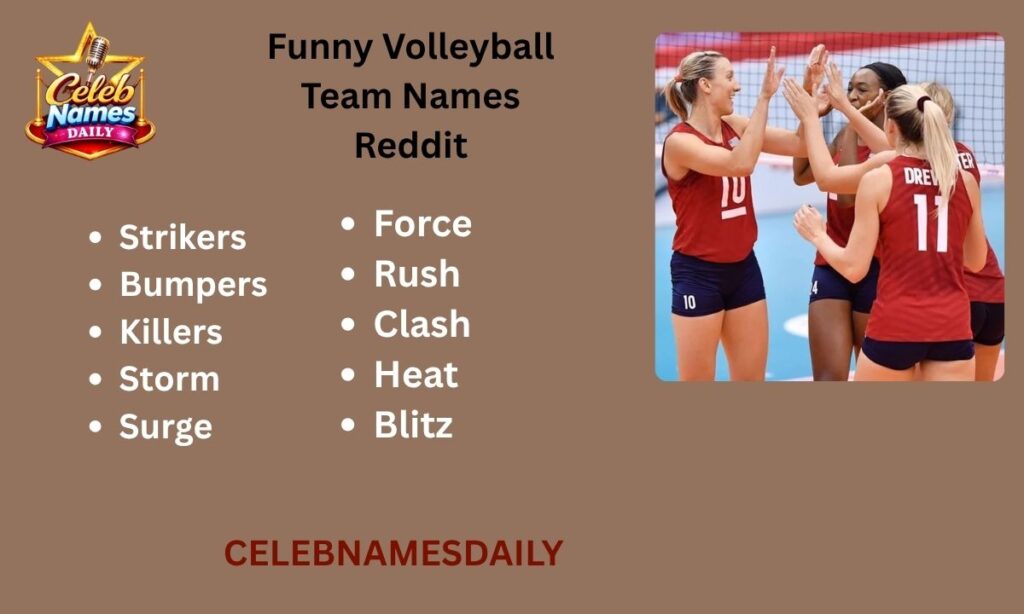 Funny Volleyball Team Names Reddit