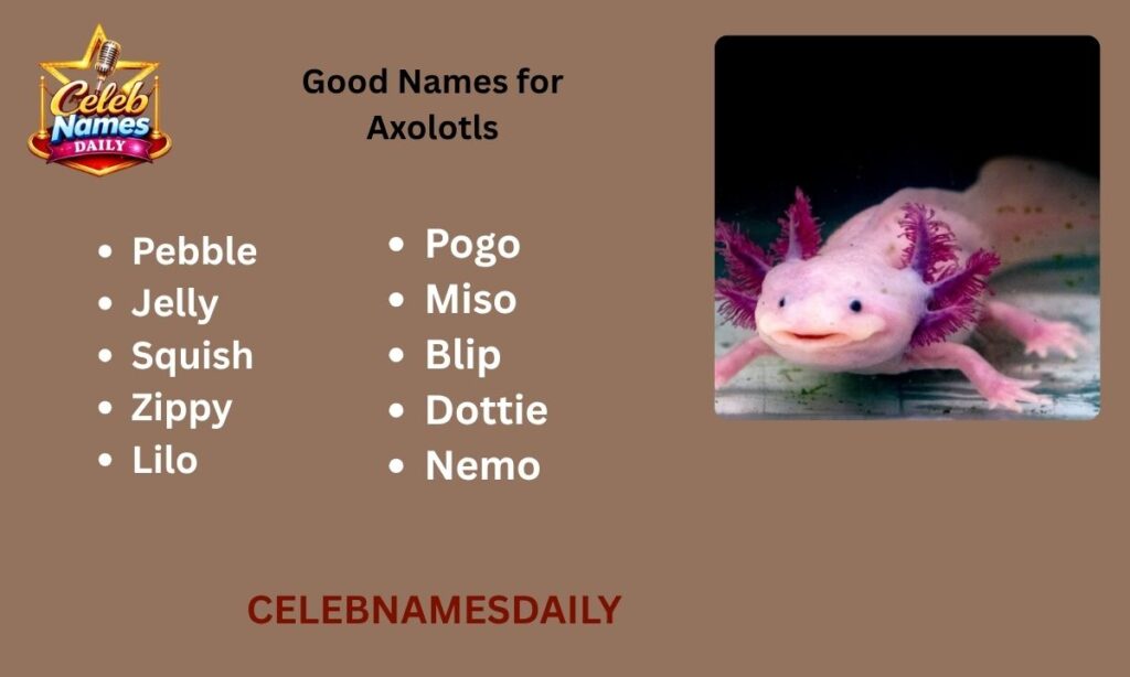 Good Names for Axolotls