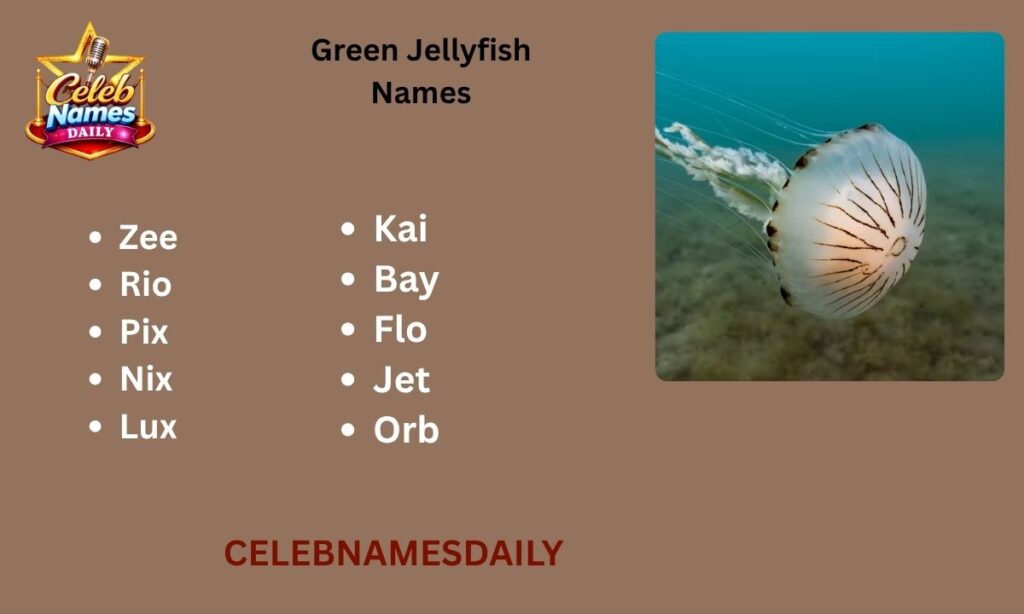 Green Jellyfish Names