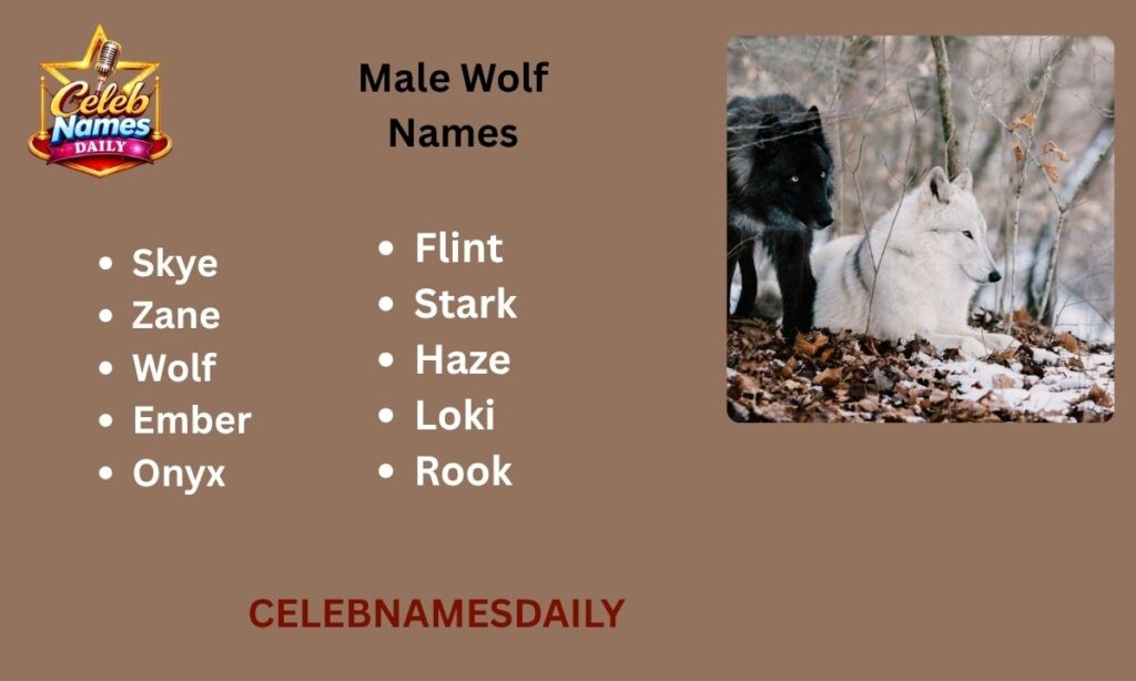 Male Wolf Names