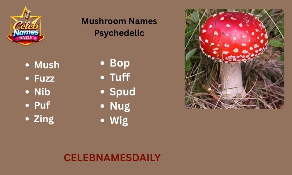 Mushroom Names Psychedelic
