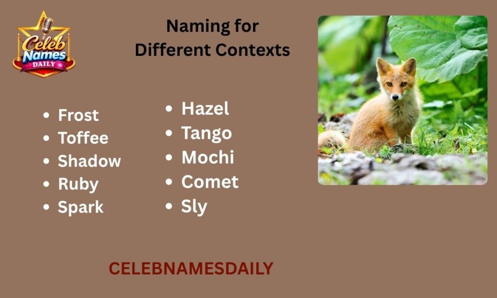 Naming for Different Contexts