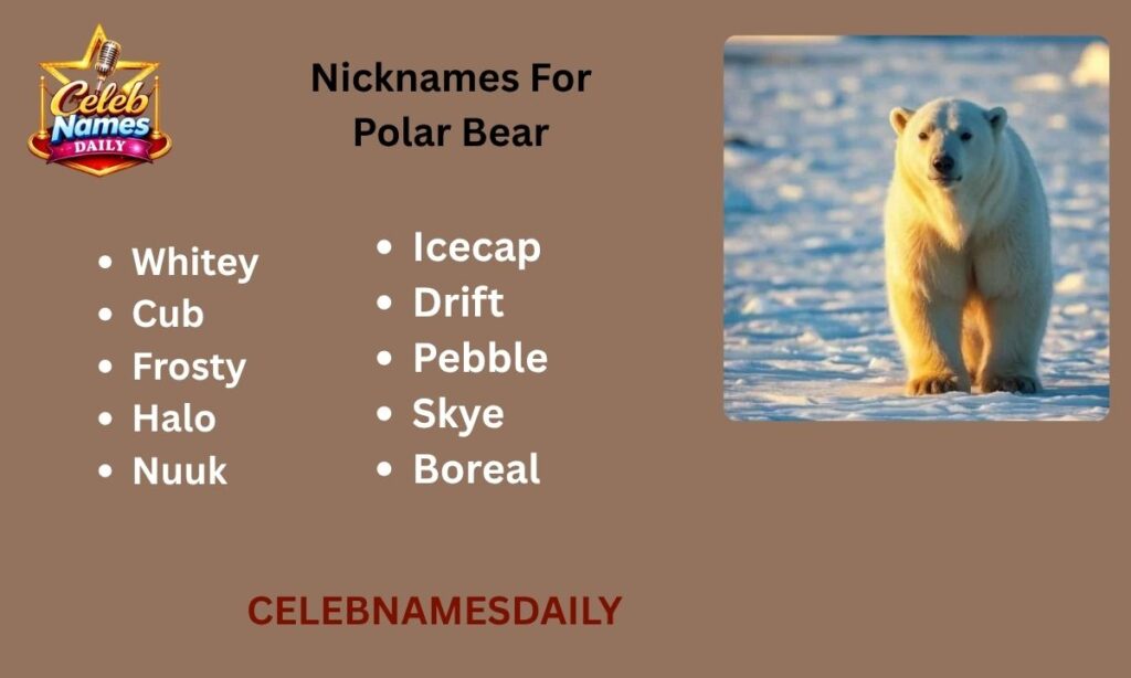 Nicknames For Polar Bear