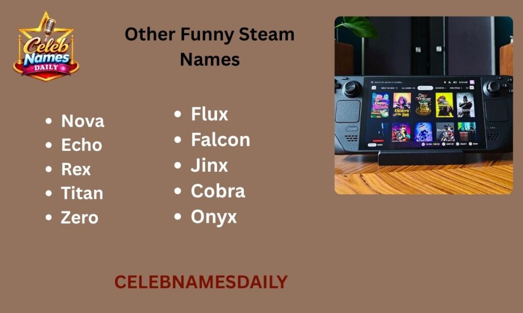 Other Funny Steam Names