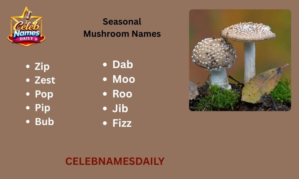 Seasonal Mushroom Names