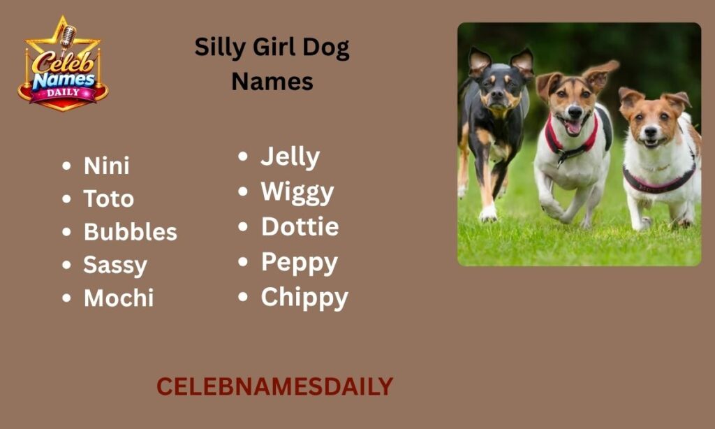 Silly Girl Dog Names