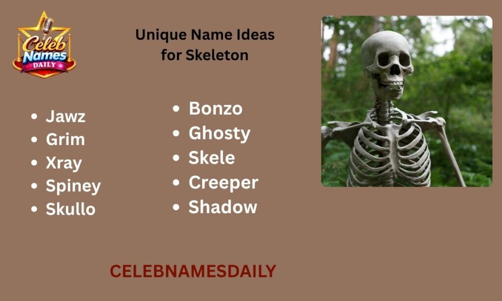 Unique Name Ideas for Skeleton