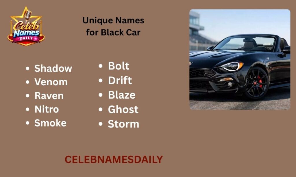 Unique Names for Black Car